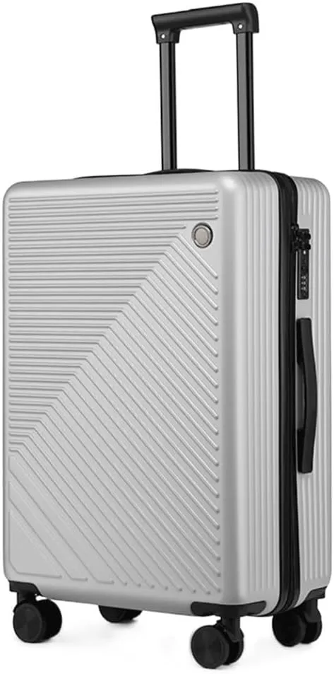 Carry-on Suitcase Luggage 20inch Lightweight Hardside 4-Wheel Spinner Travel Luggage,Business Luggage for Women Carry-on Suitcases Carry On Luggages (Silver 20inch)